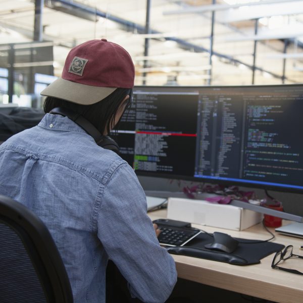Software Engineers